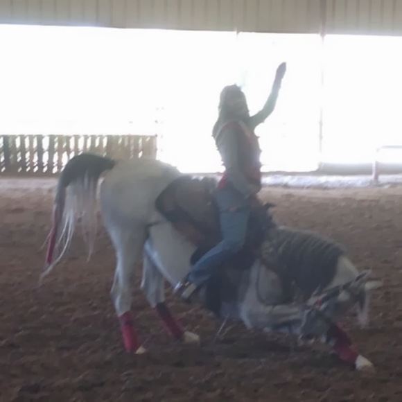 Meet your Posher, Wendy - Picture 1 of 1